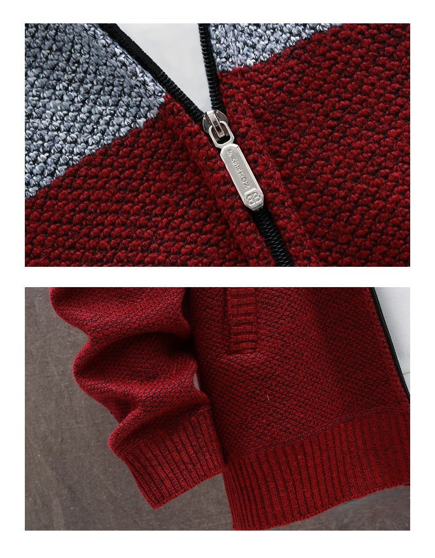 Kapuzenpullover mit Reißverschluss und Fleece im Colorblock-Design für Herren