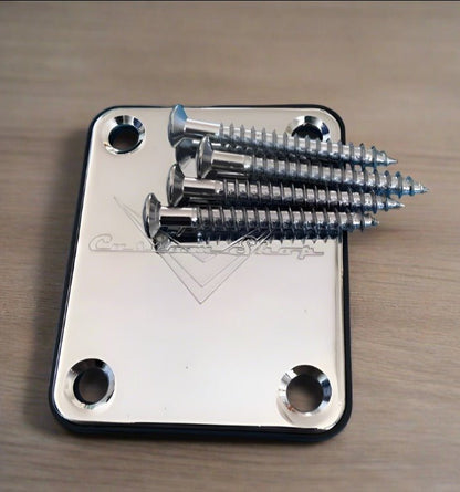 Guitar Neck Plate with Screws - Lunacy Deals & Designs